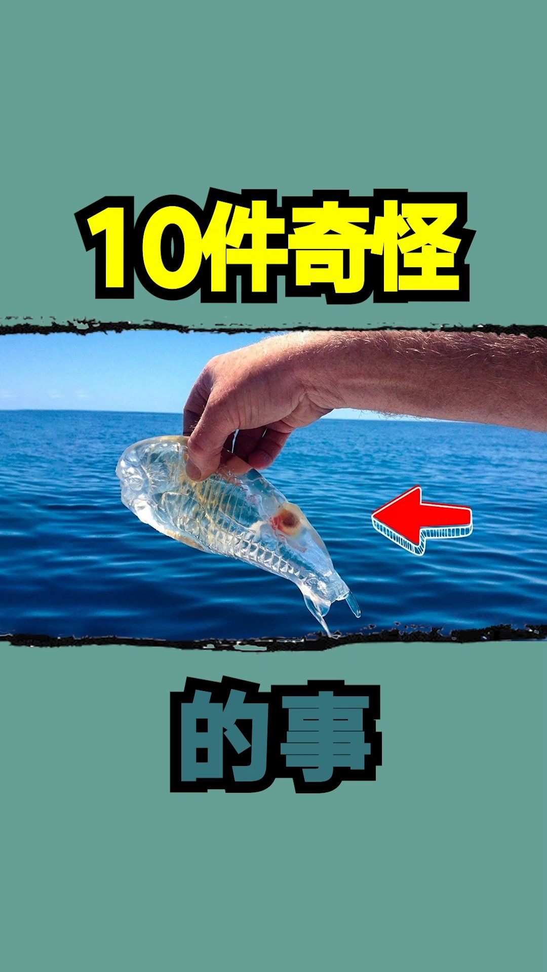 怪事10件奇怪的事海洋中捞出全身透明的果冻状生物是什么呢