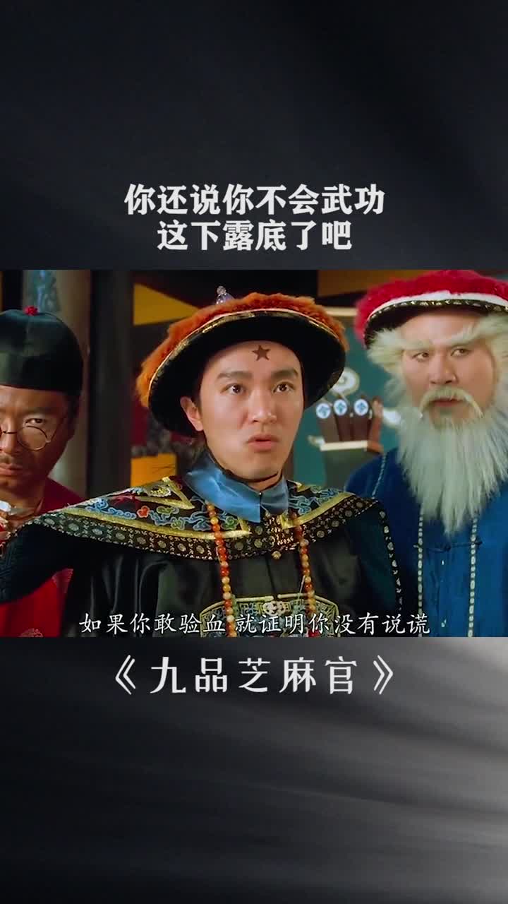 你还说你不会武功这下露底了吧
