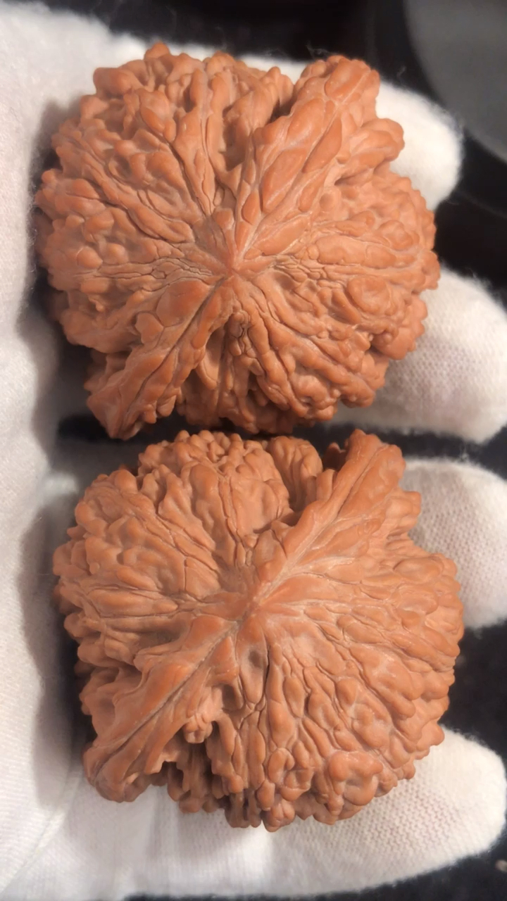 文玩核桃#和尚头!圆球爆肉!皮质特好!