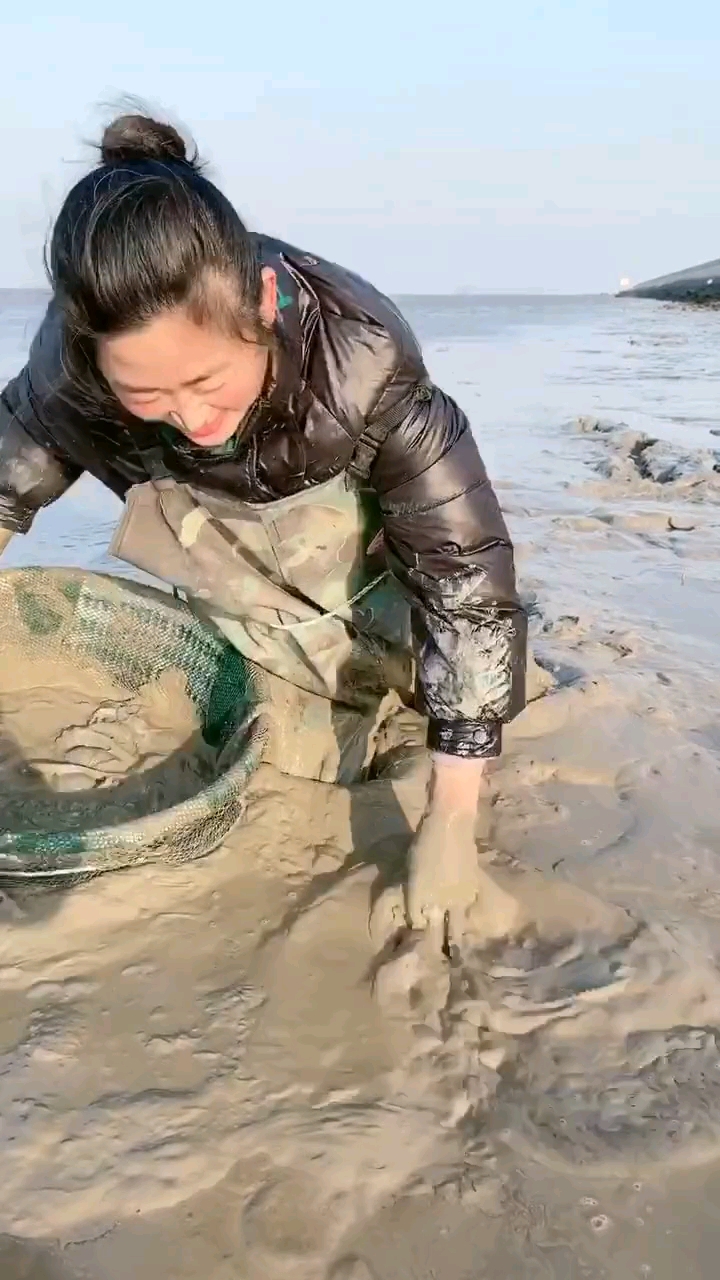 抓八爪魚