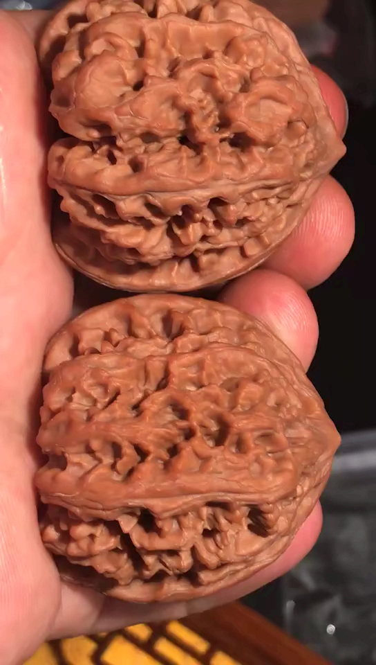 42骨质之王.正宗秦皇岛粗筋窝底狮子头.