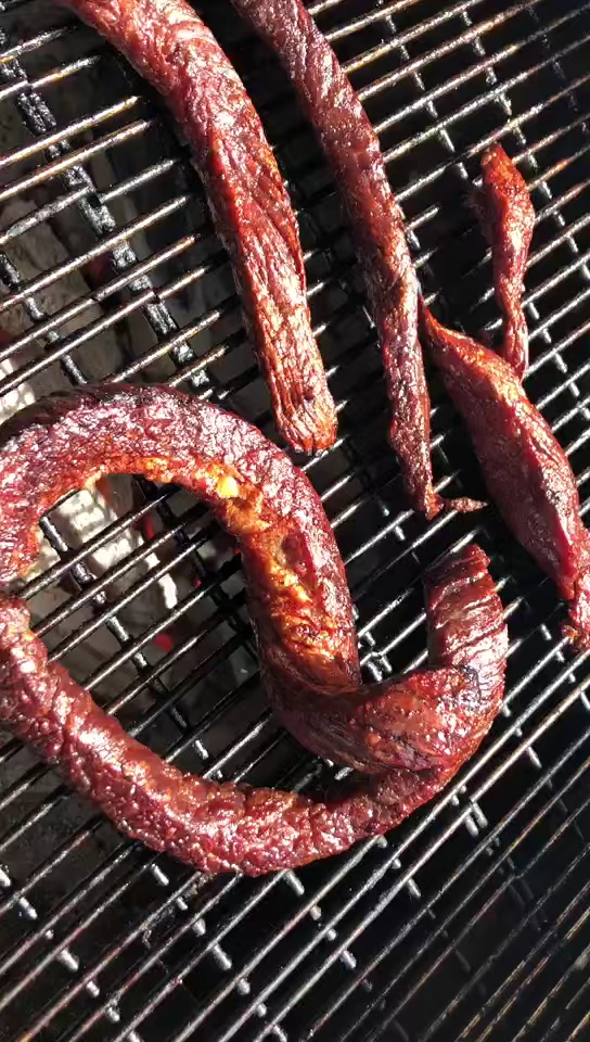 美食#烤蛇肉吗?