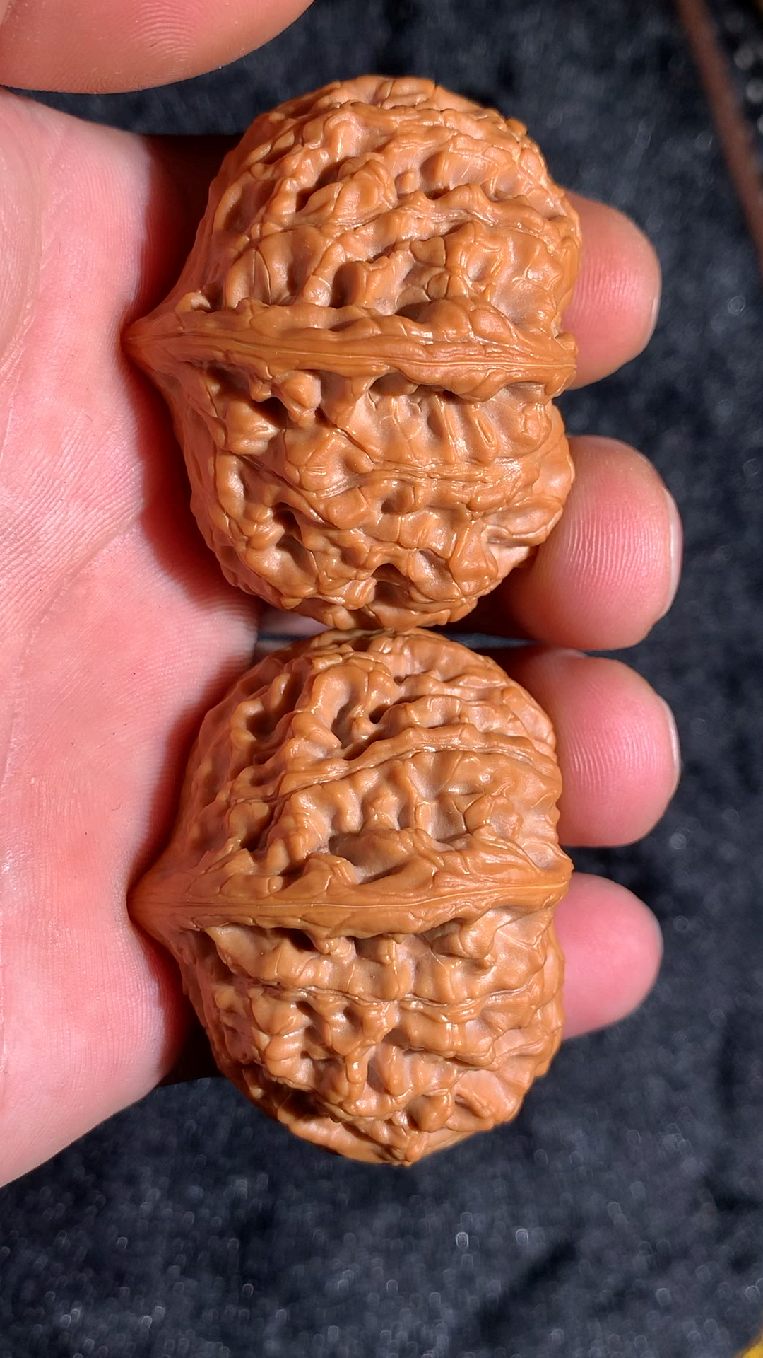 文玩核桃#延庆元宝