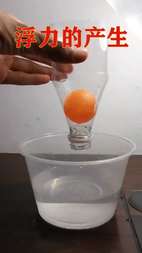 浮力的产生原因科普 我来科普 科普一下 物理 科学小实验