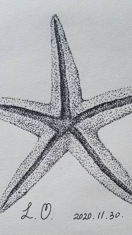 原来海星的脚长这样子#水笔画素描点绘《海星》
