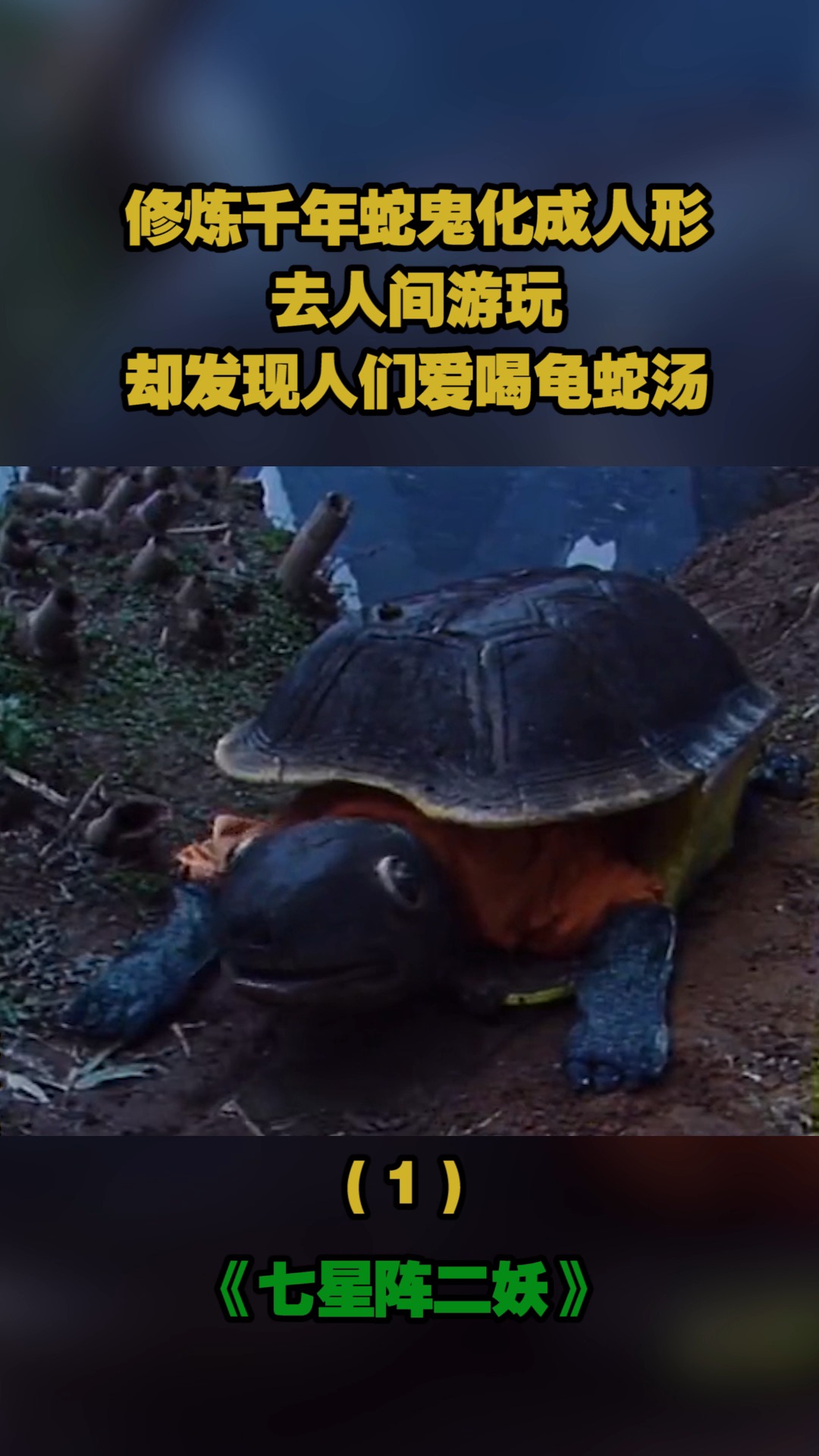 龟蛇汤电影图片