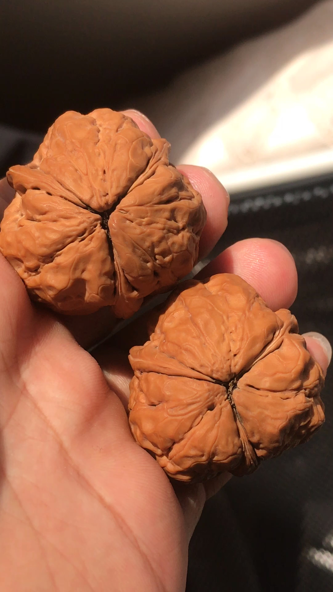 文玩核桃#云铁蛤蟆三棱