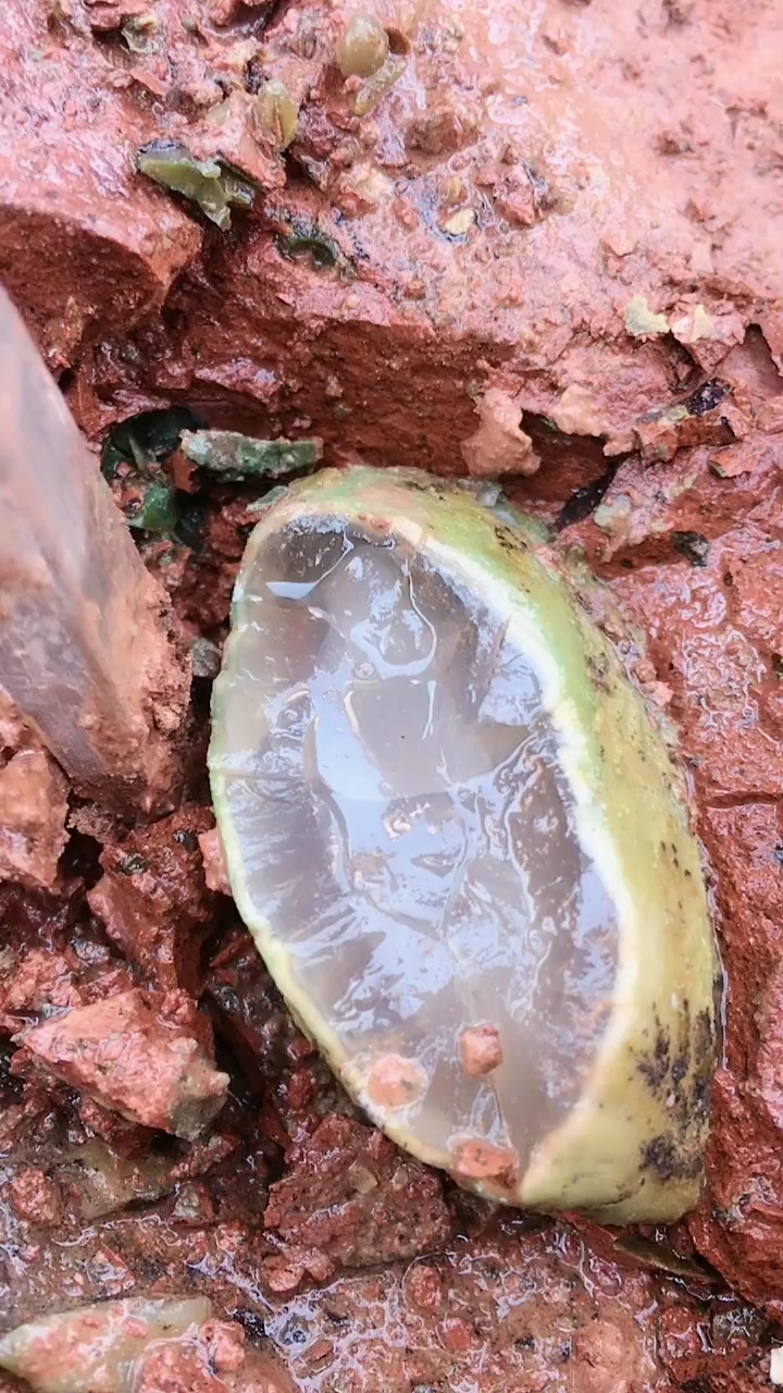 第一次挖玉,一块好玉被挖的稀巴烂!