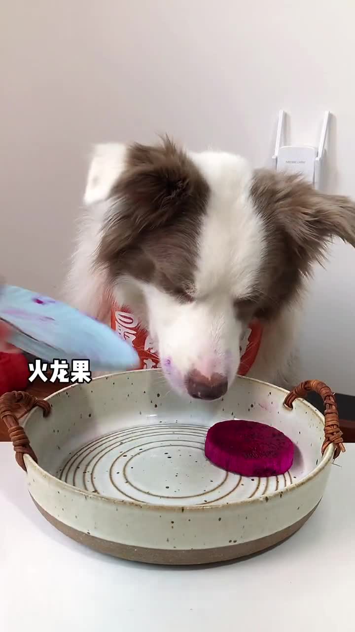 小狗格林今天涂口红啦你们能猜出这款口红的颜色嘛