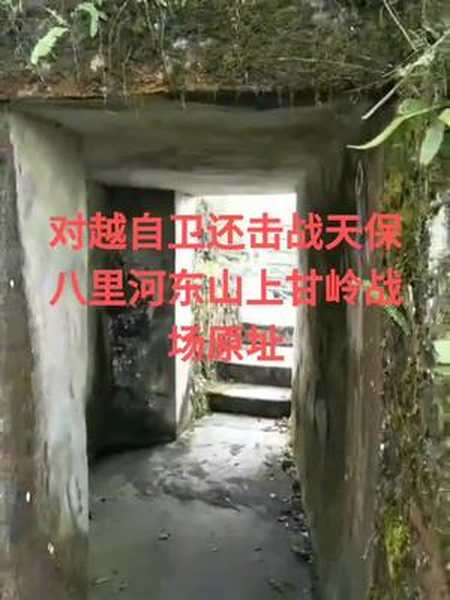 这里是云南文山麻栗坡边境天保八里河东山上甘岭战场原址老兵们还能不