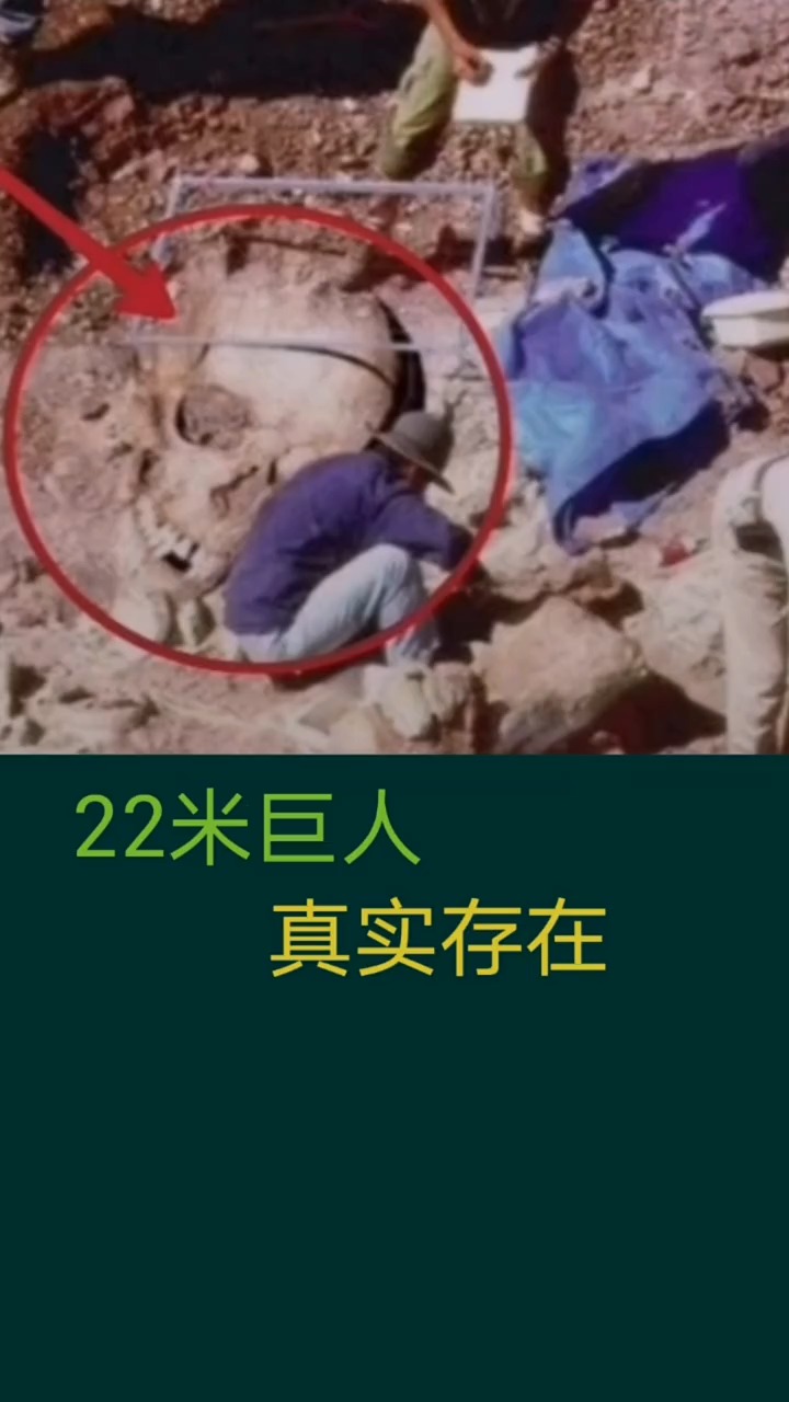 奇闻趣事抢先看#22米巨人真实存在