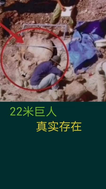 奇闻趣事抢先看#22米巨人真实存在