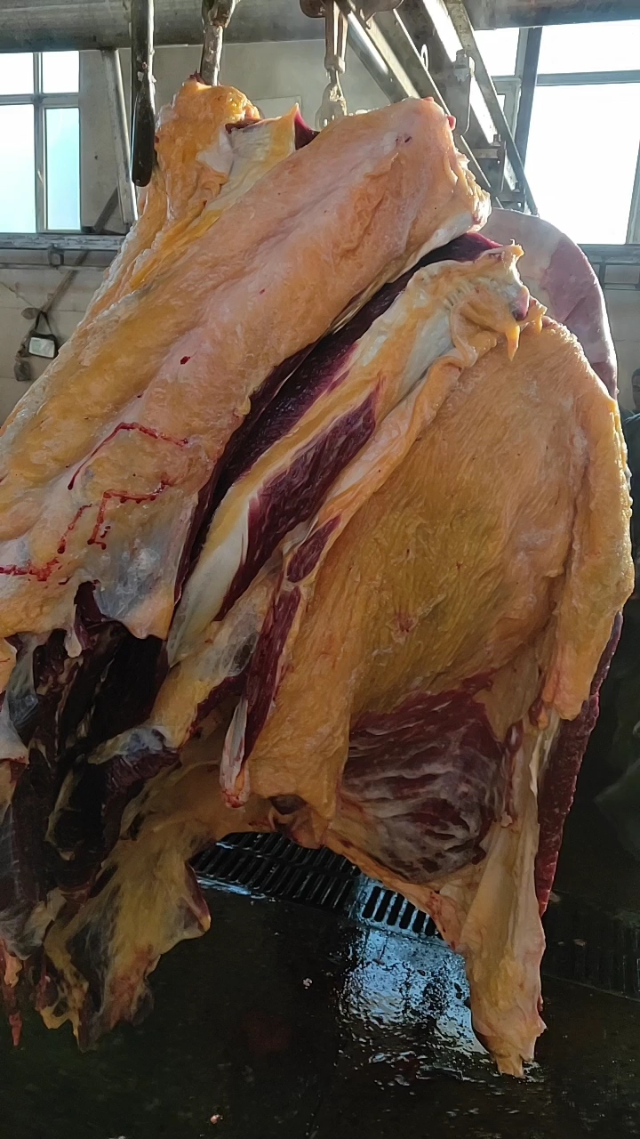 南屯天然散养苏白牛肉,喜欢吃牛羊肉的朋友双击加关注感谢大家支持!