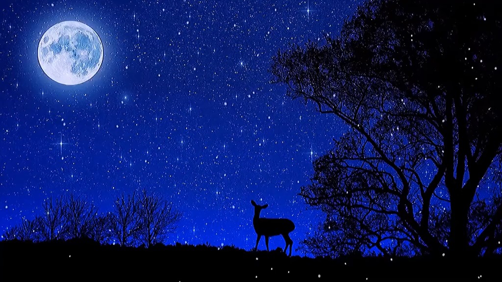 白鹿#曾经也小鹿乱撞过,后来小鹿长大了,走路贼稳