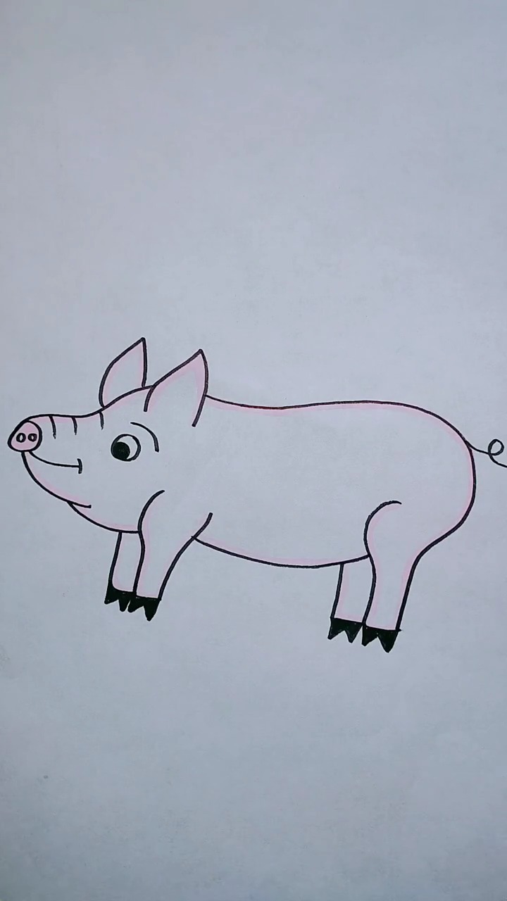 一头小猪怎么画图片