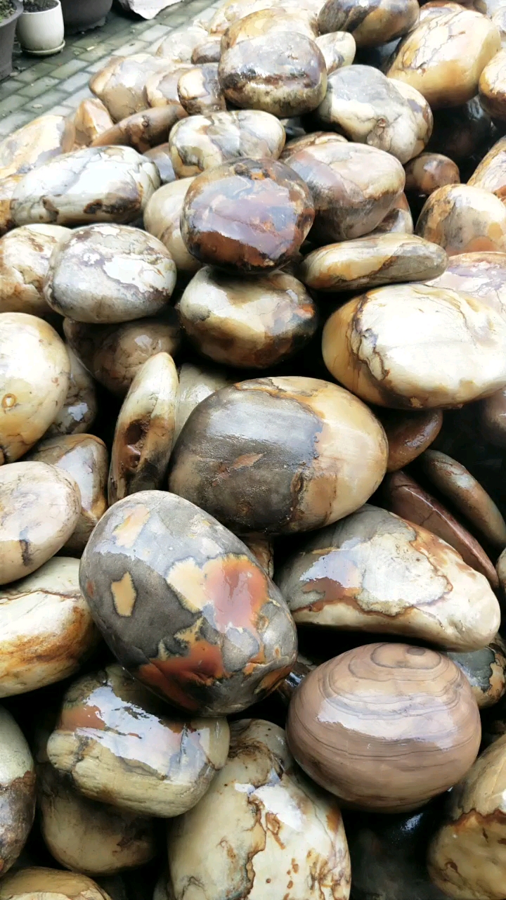 带上全民去旅行#天然原石长江碳化石