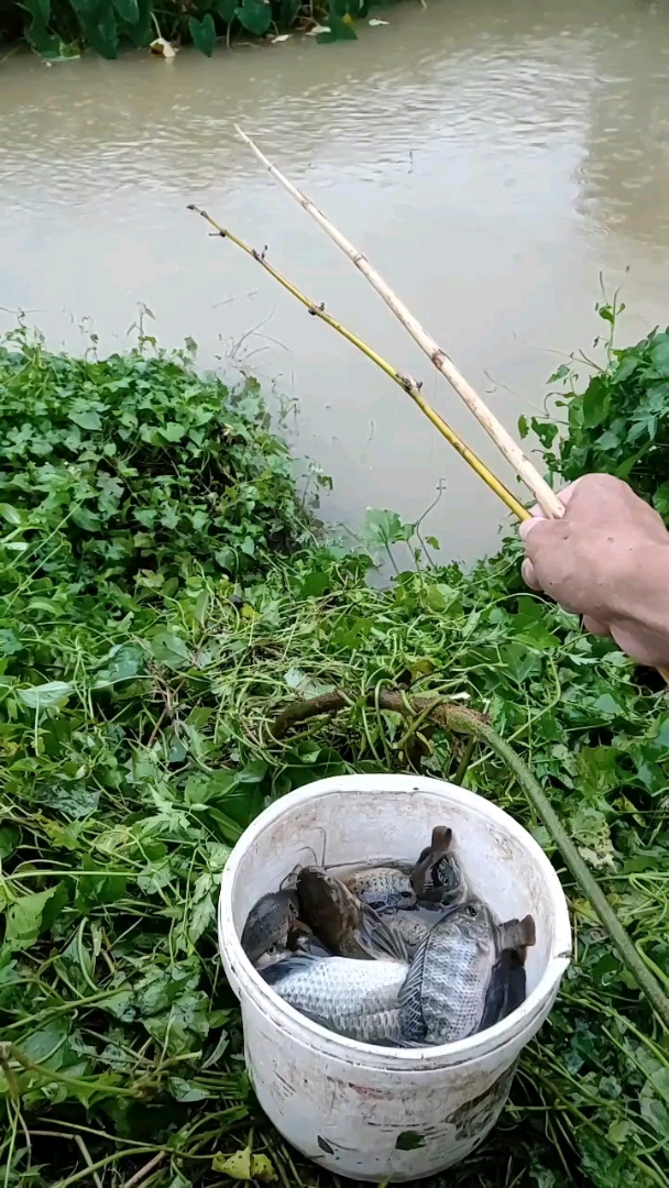 童年的记忆:竹竿钓鱼
