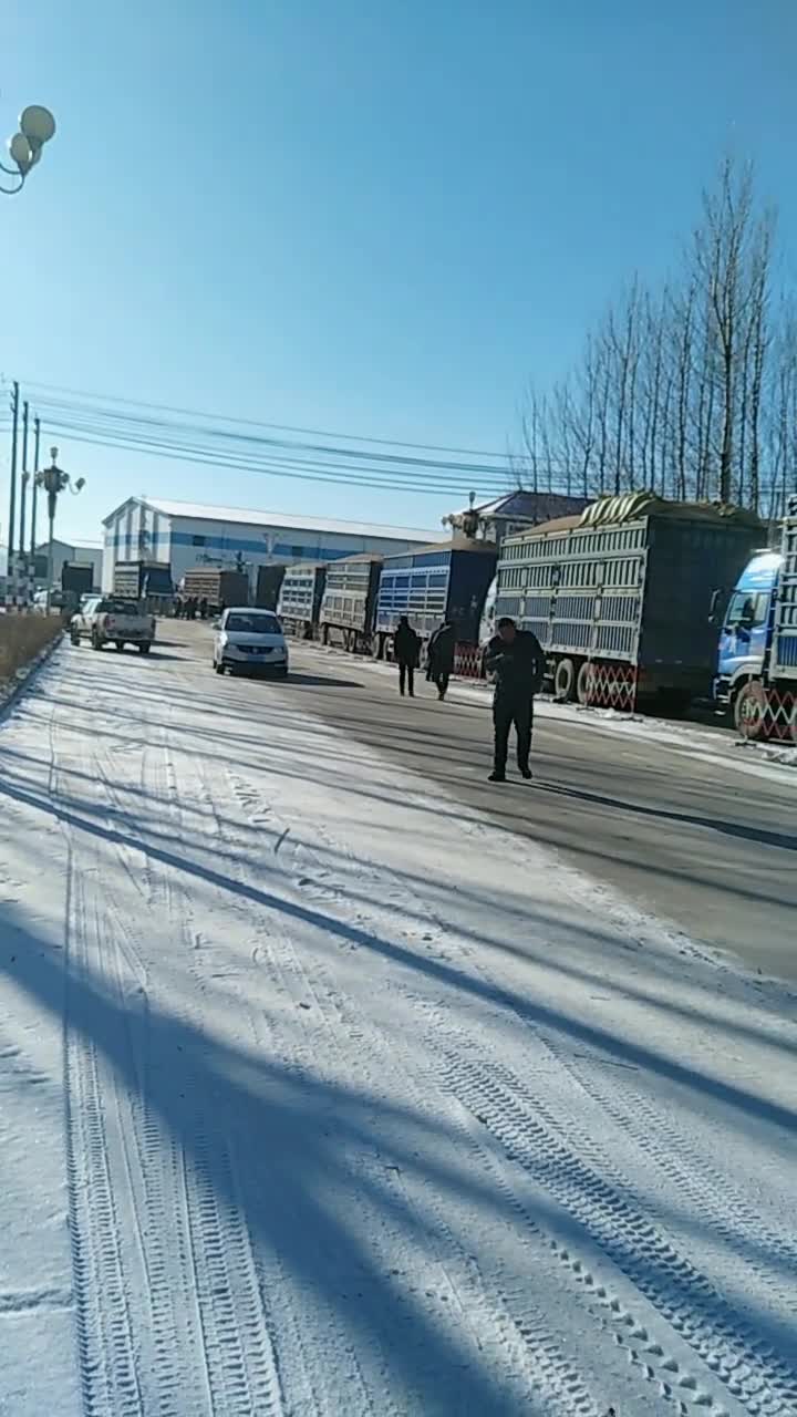 建三江大兴农场