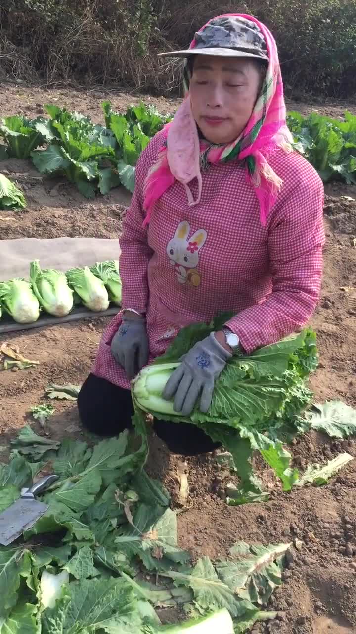 谁呀?敢惹这虎娘们