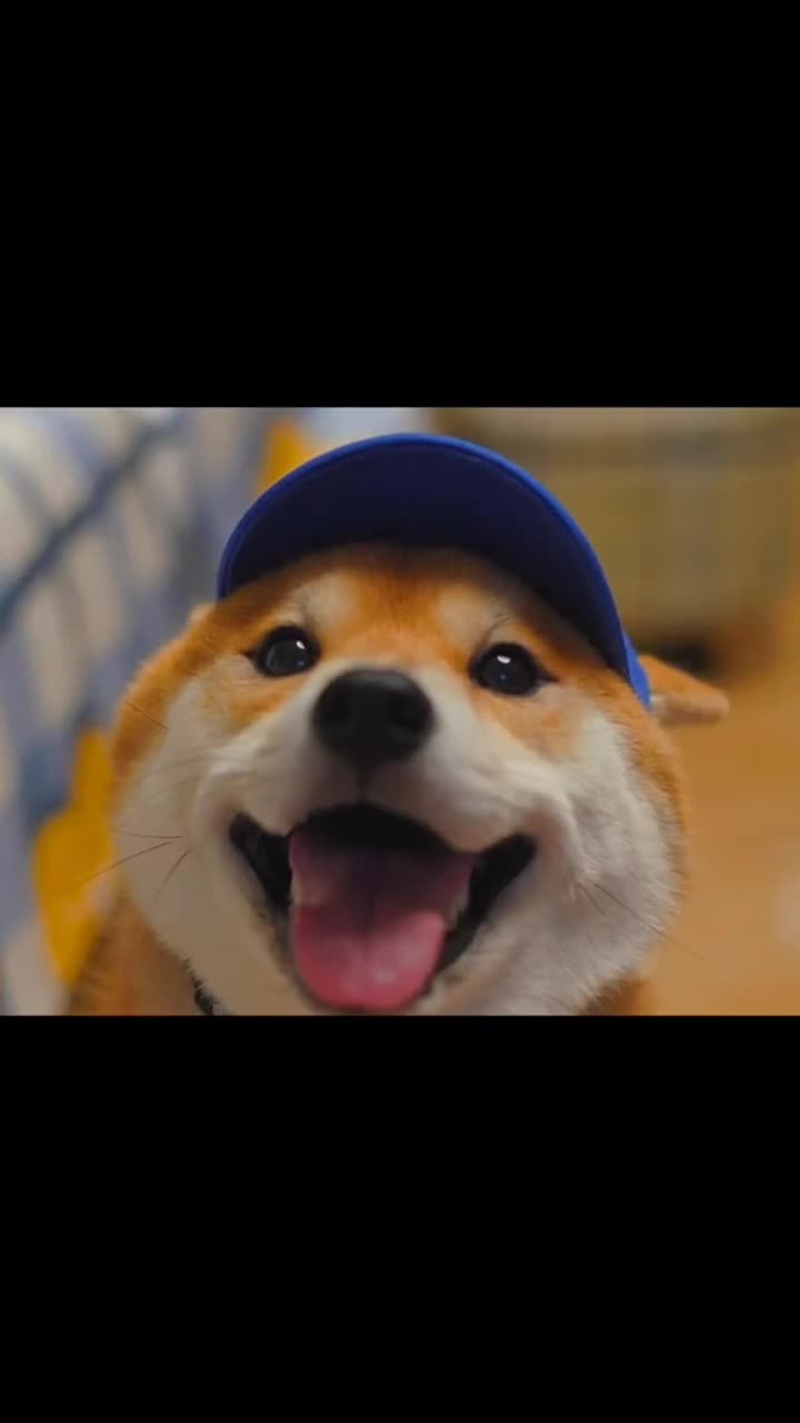 一些传递快乐的憨憨文案