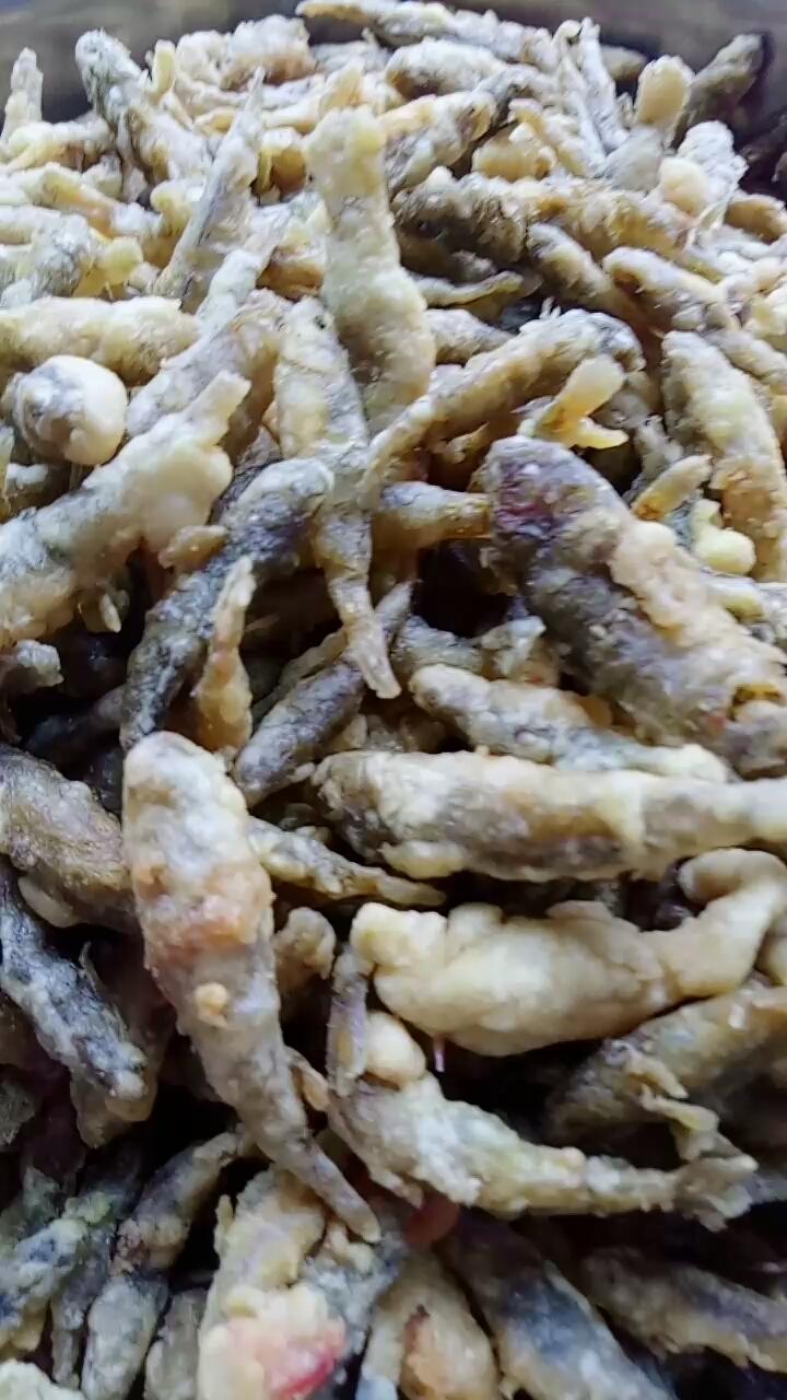 这就是微山湖的特产,《小鲤骨鱼,烧汤特好》