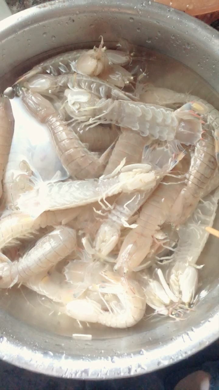 开船海里刚带回来的皮皮虾