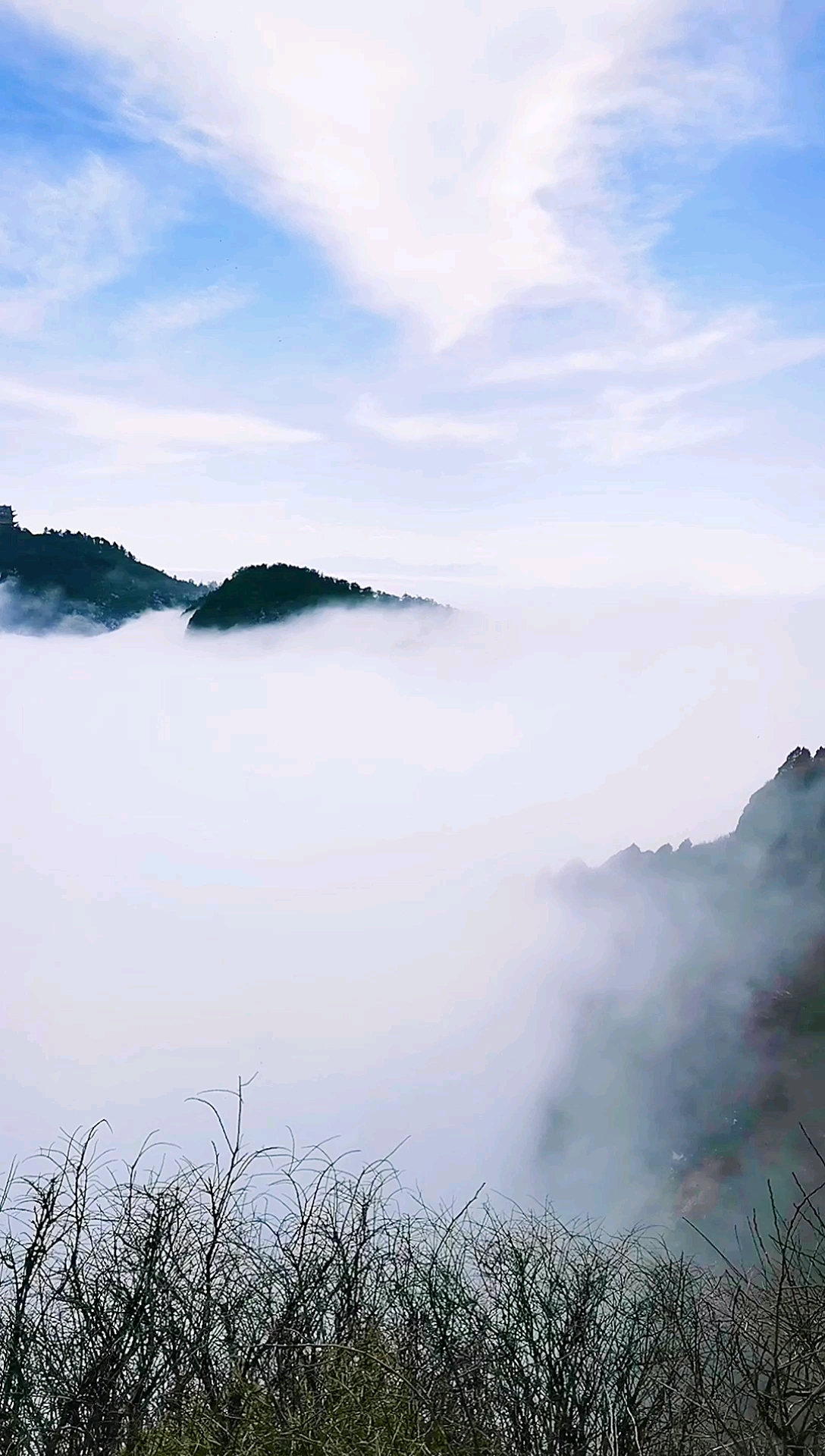 云雾缭绕 手机壁纸图片
