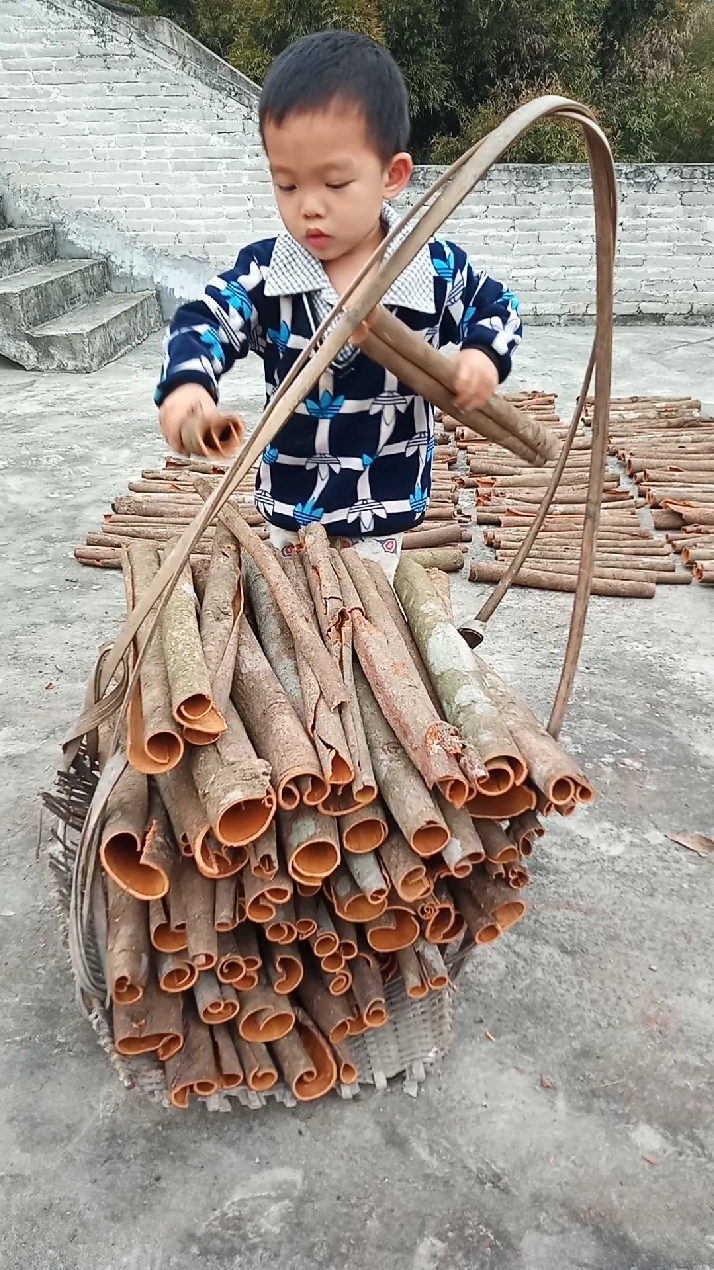 乡村生活#剥桂皮咯