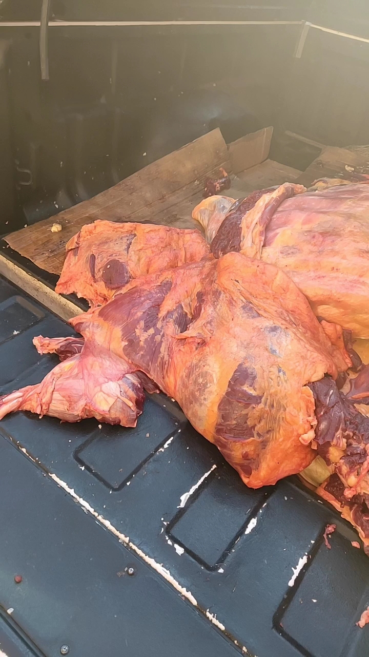 南屯天然散养苏白牛肉,喜欢吃牛羊肉的朋友双击评论加关注感谢大家