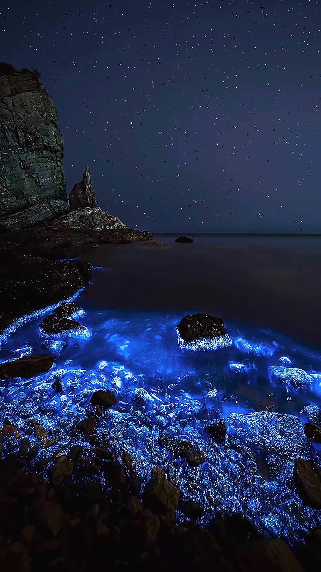 荧光海是由发光浮游生物夜光藻形成的,这是专程去大连小黑石海滩有幸