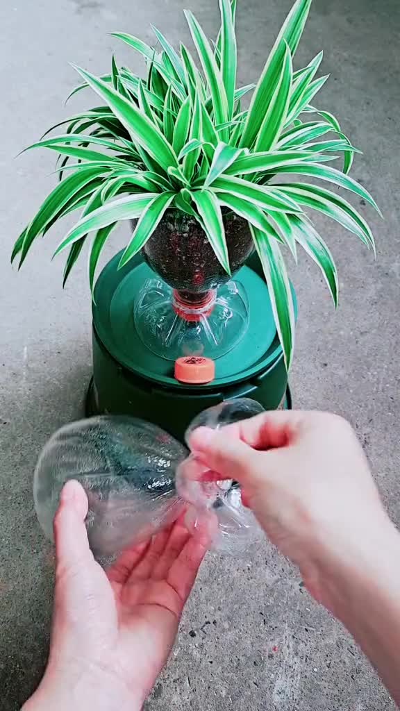 水瓶做花盆的手工制作图片