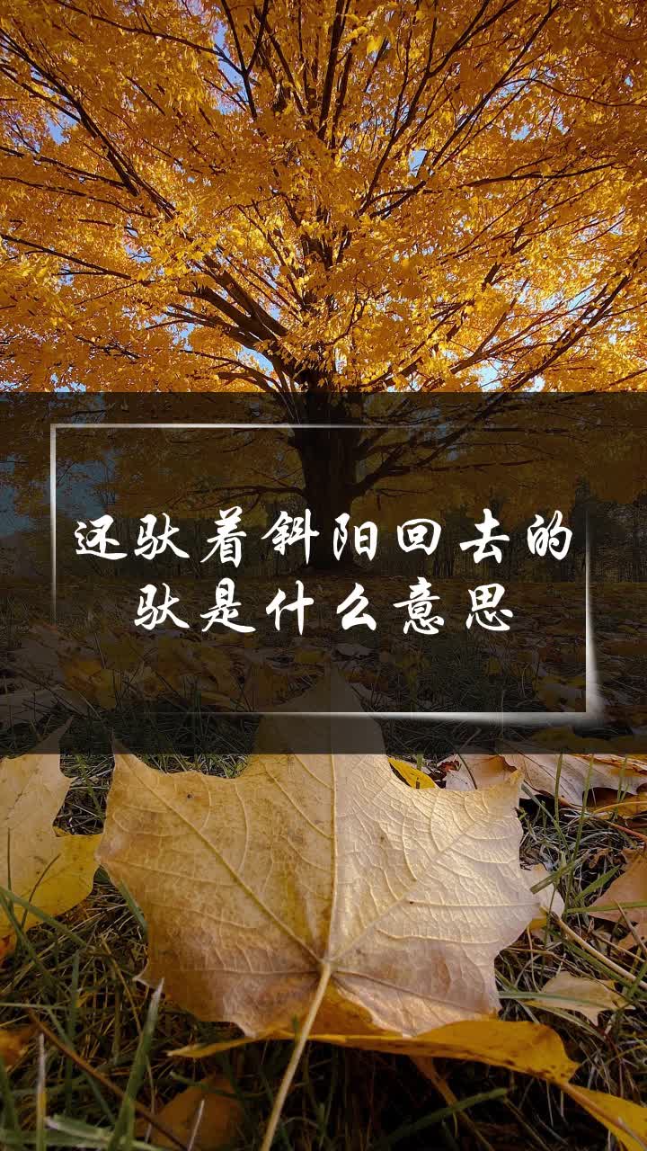 还驮着斜阳回去的驮是什么意思