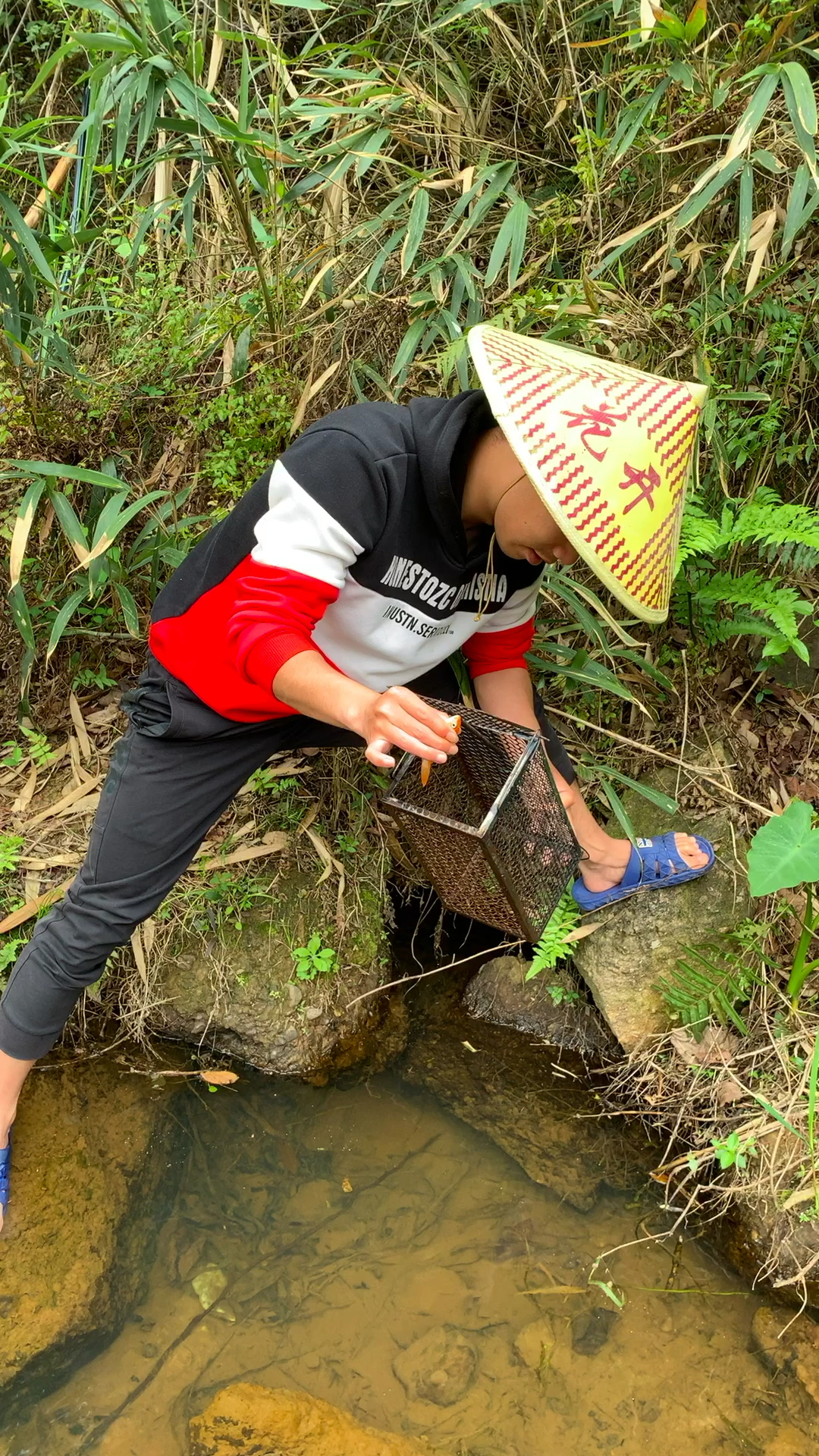 户外抓鱼#做了一个简单的捕鱼陷阱,不知道效果怎么样