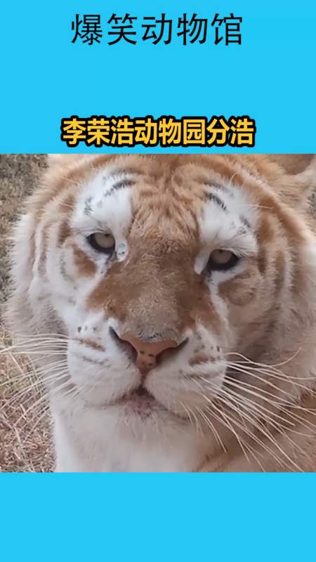 我要上热门#李荣浩动物园分浩