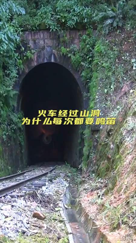 奇闻趣事抢先看#火车经过山洞,为什么每次都要鸣笛
