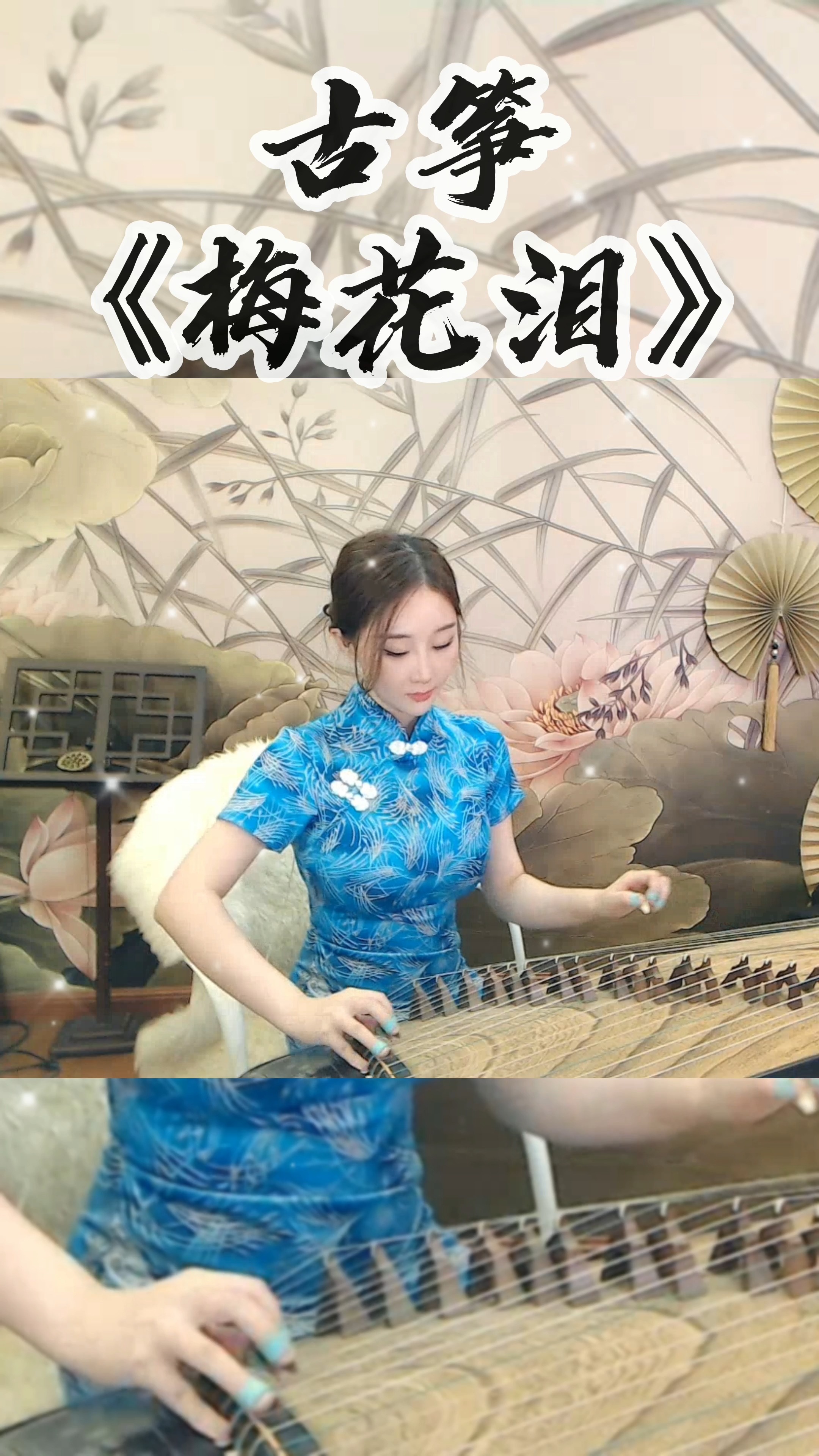 最美古筝曲古筝梅花泪