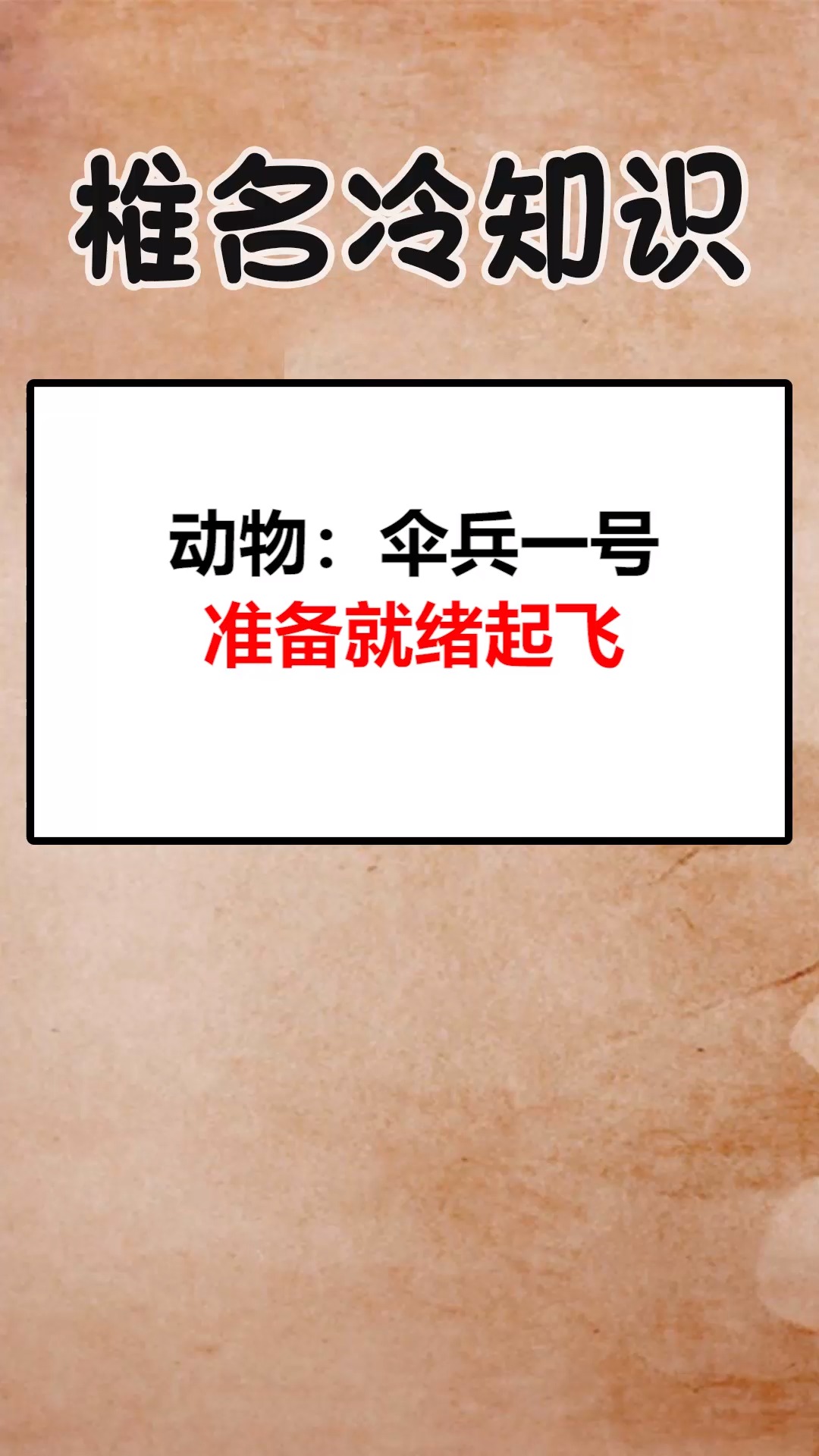 我要上热门#动物:伞兵一号准备就绪起飞