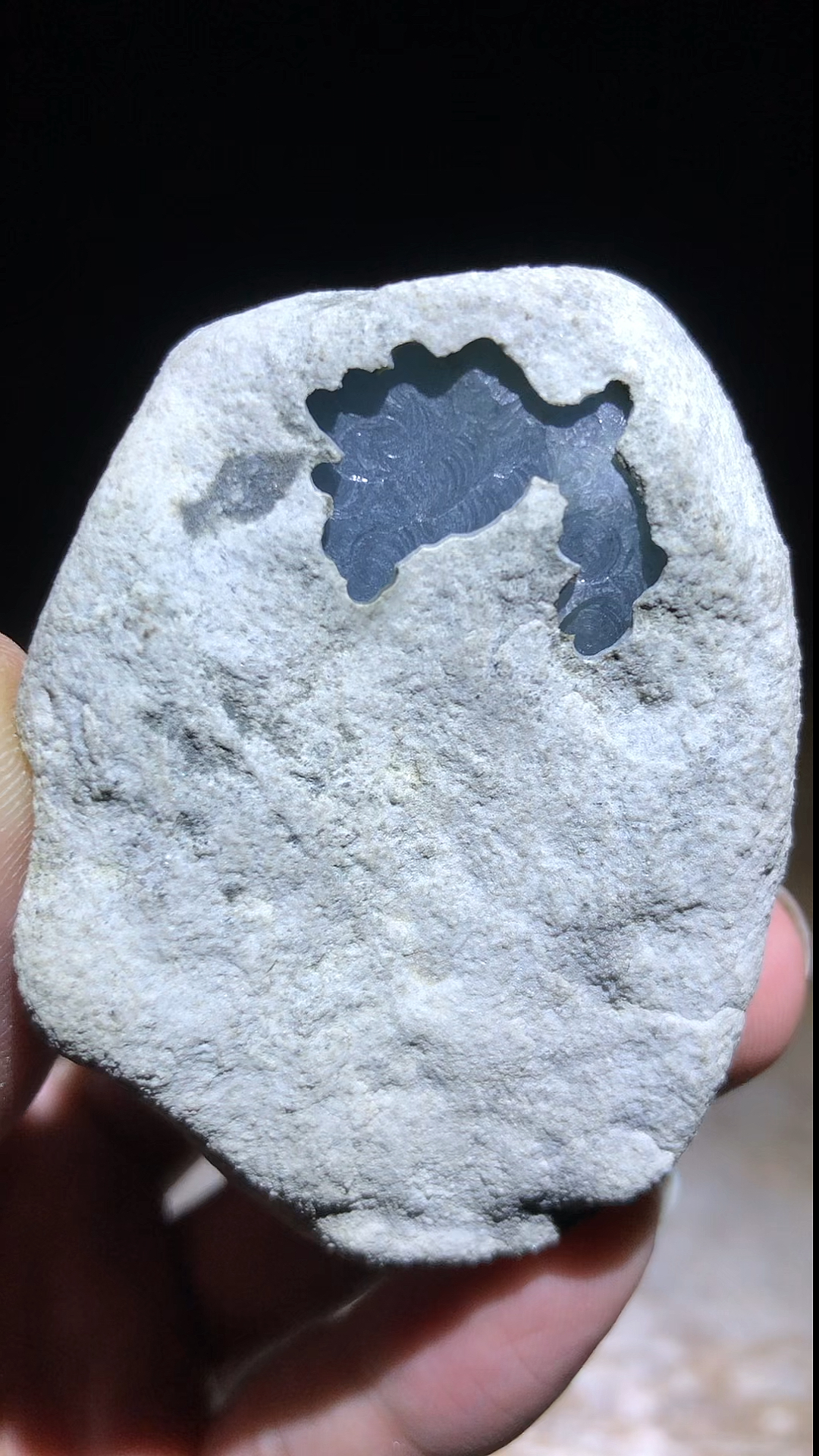 白皮老坑莫西沙 品质杠杠的 乌黑乌黑 直接取件