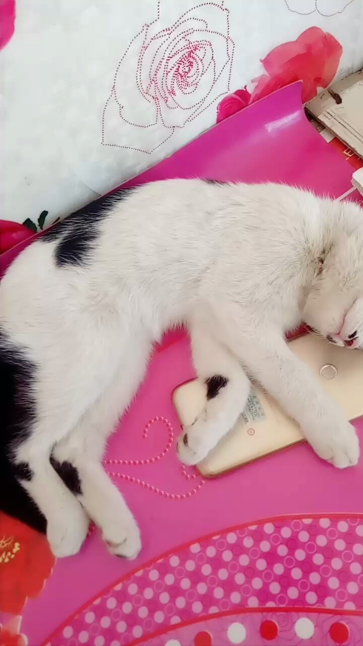 睡觉也要抱着手机