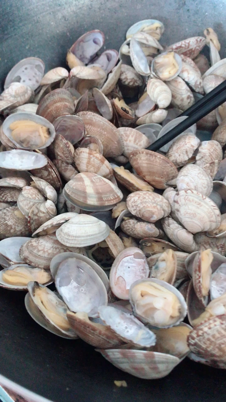 9毛一斤的蚬子,味真鲜