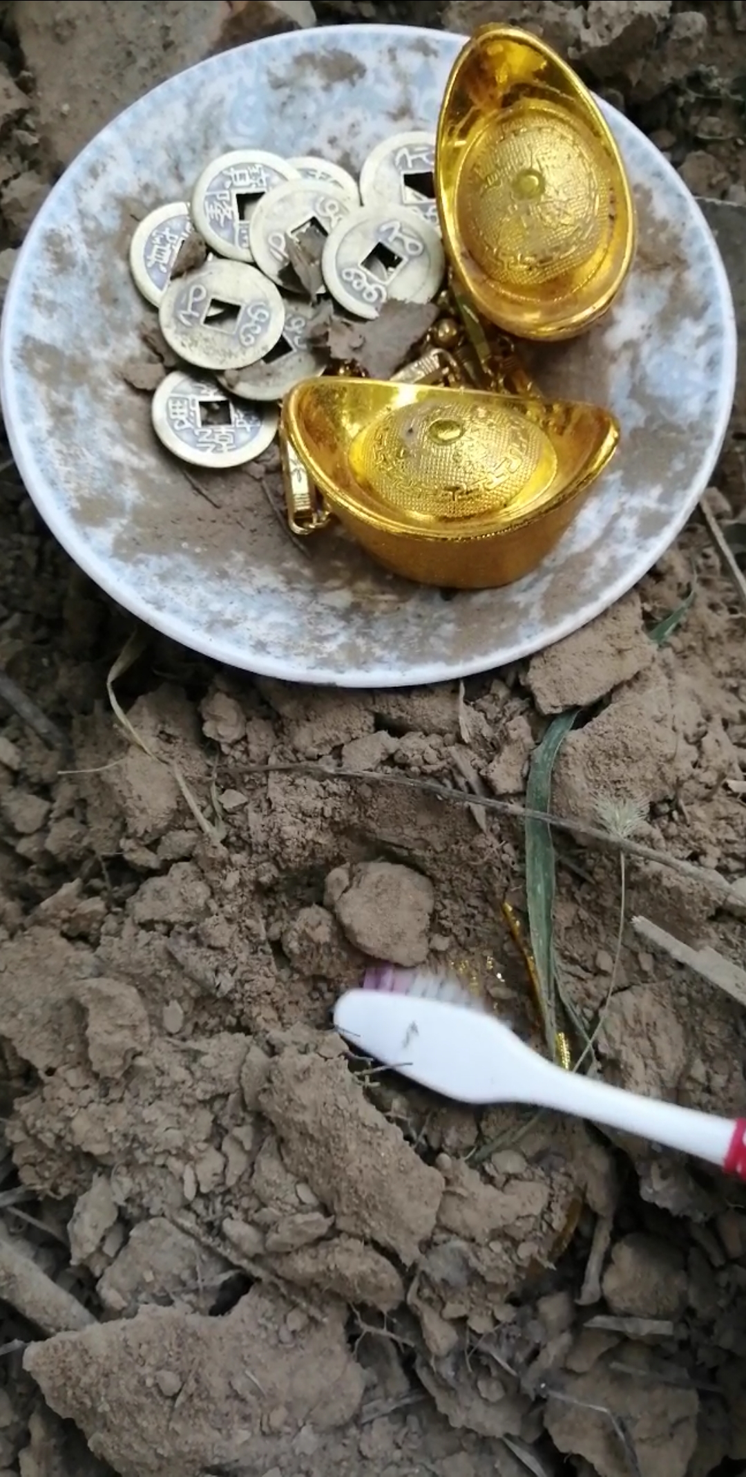 小伙在树下发现金色的小东西