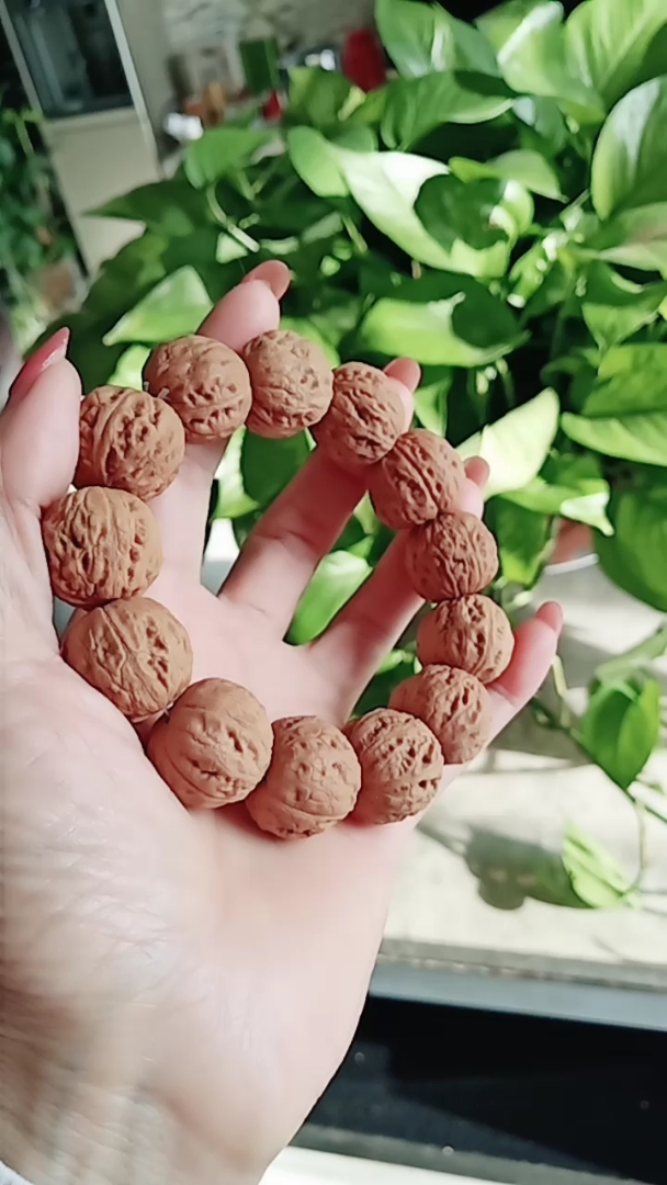 方墩野生秋子手串,边肚20/高19.