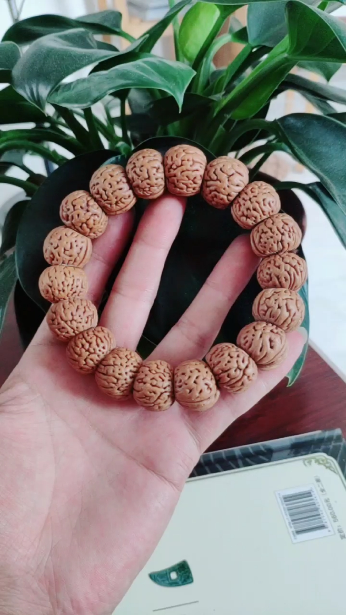 精工扇面小桃核手串尺寸18的