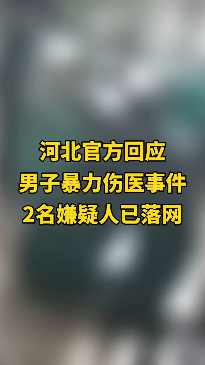 河北官方回应男子暴力伤医事件:2名嫌疑人已落网.