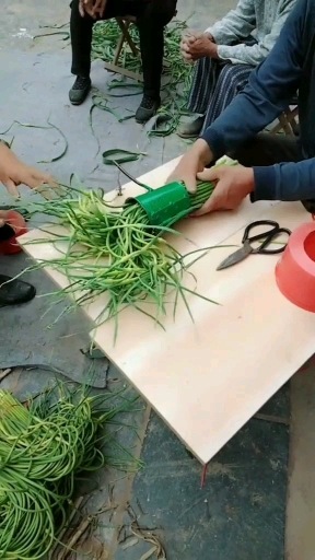 妙招捆蒜薹!