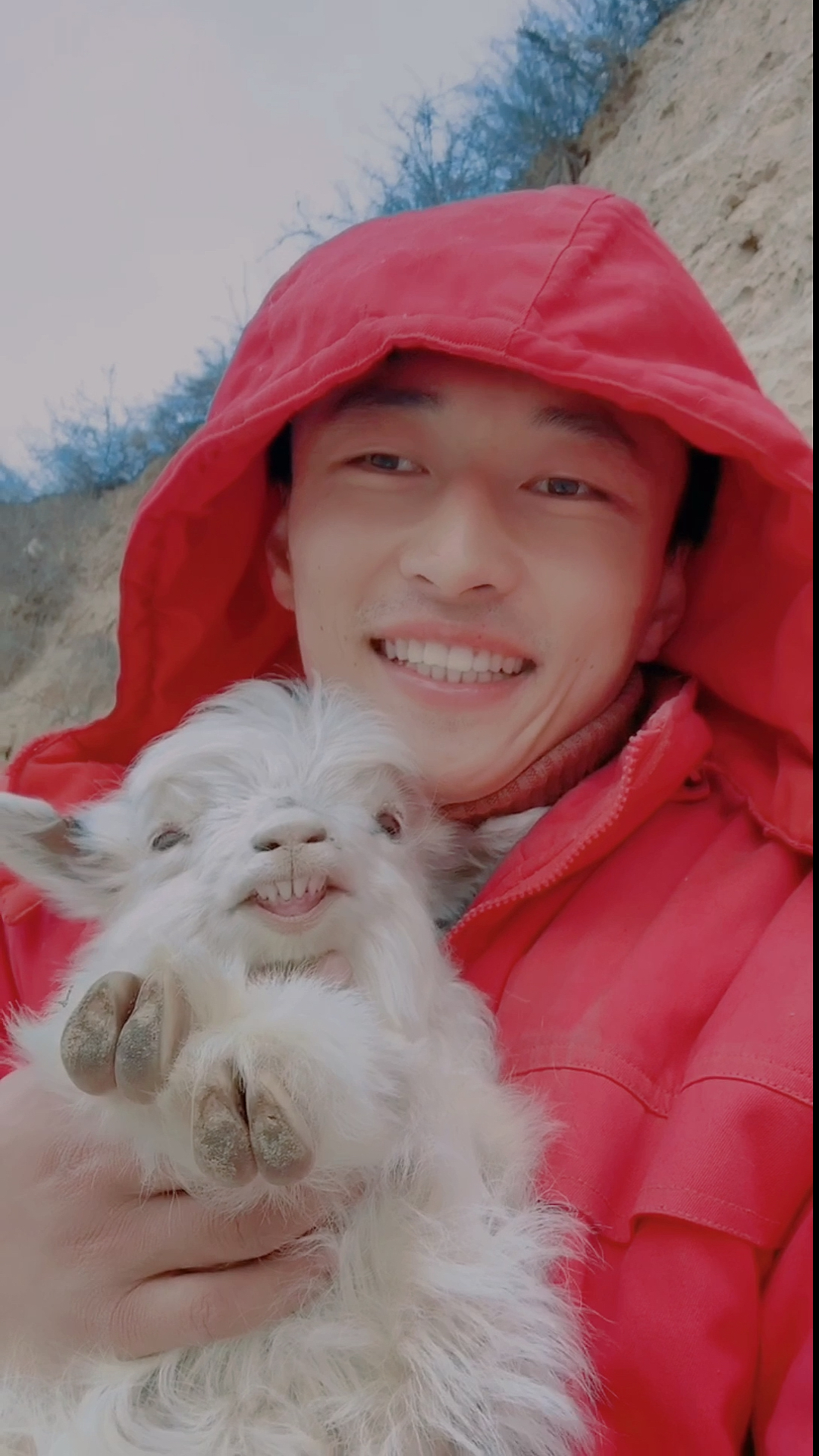 优秀如我#小羊笑了,你见过吗?