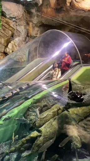 可以通往海底3000米的水下电梯,为伟大的制造工人点赞