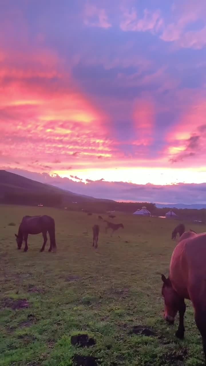 我见过最美的夕阳,是在那拉提草原!