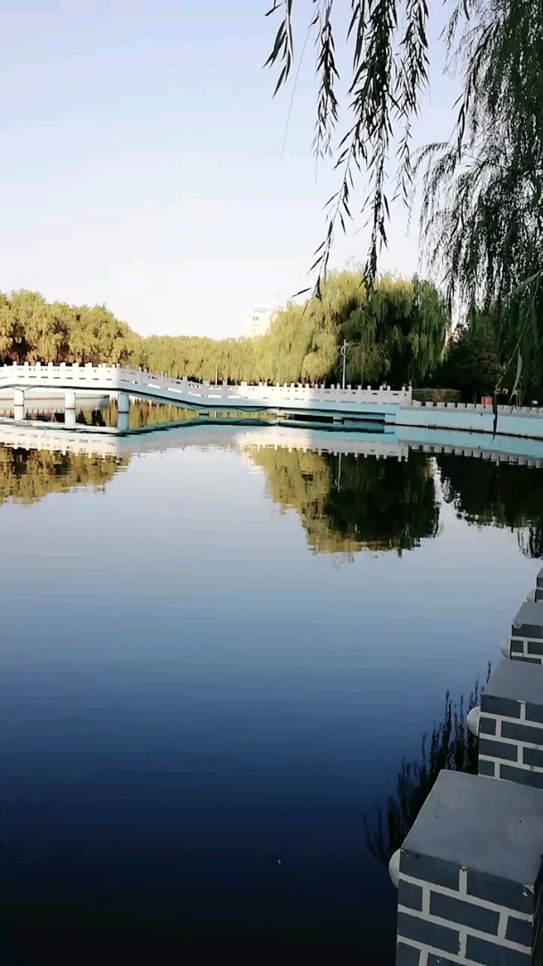 旅游进行时#萧军公园