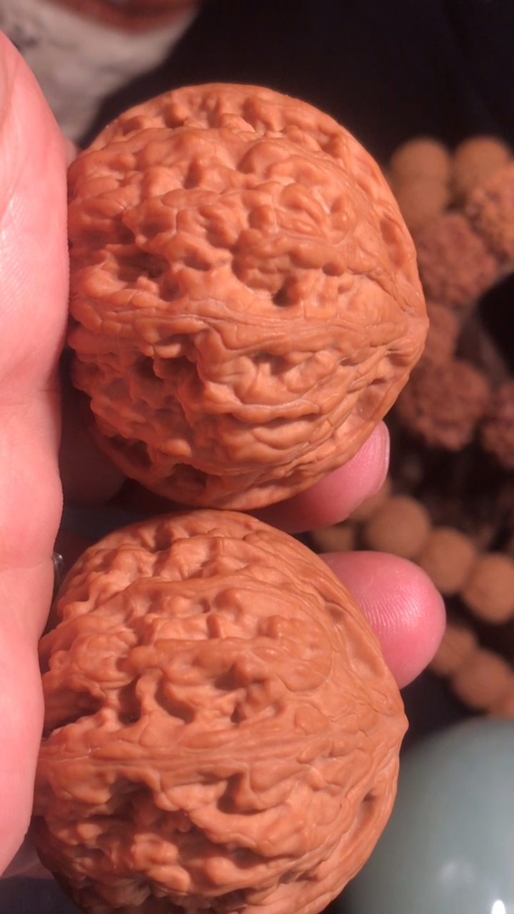 文玩核桃#货!龙脊元宝狮子头